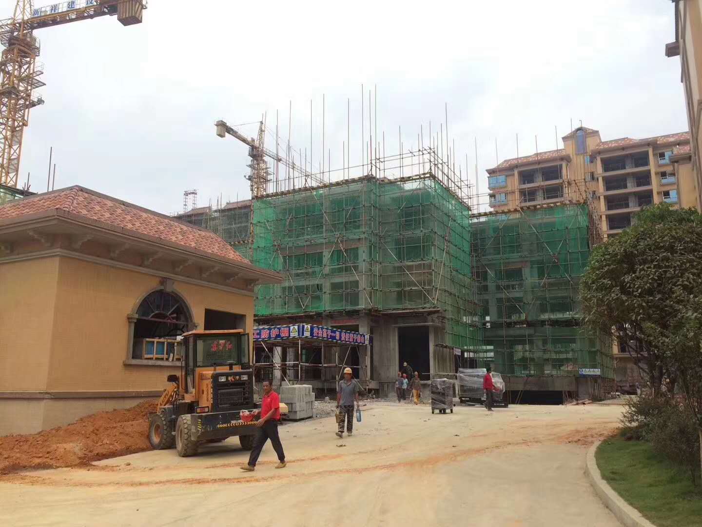 微信图片_20180614100528