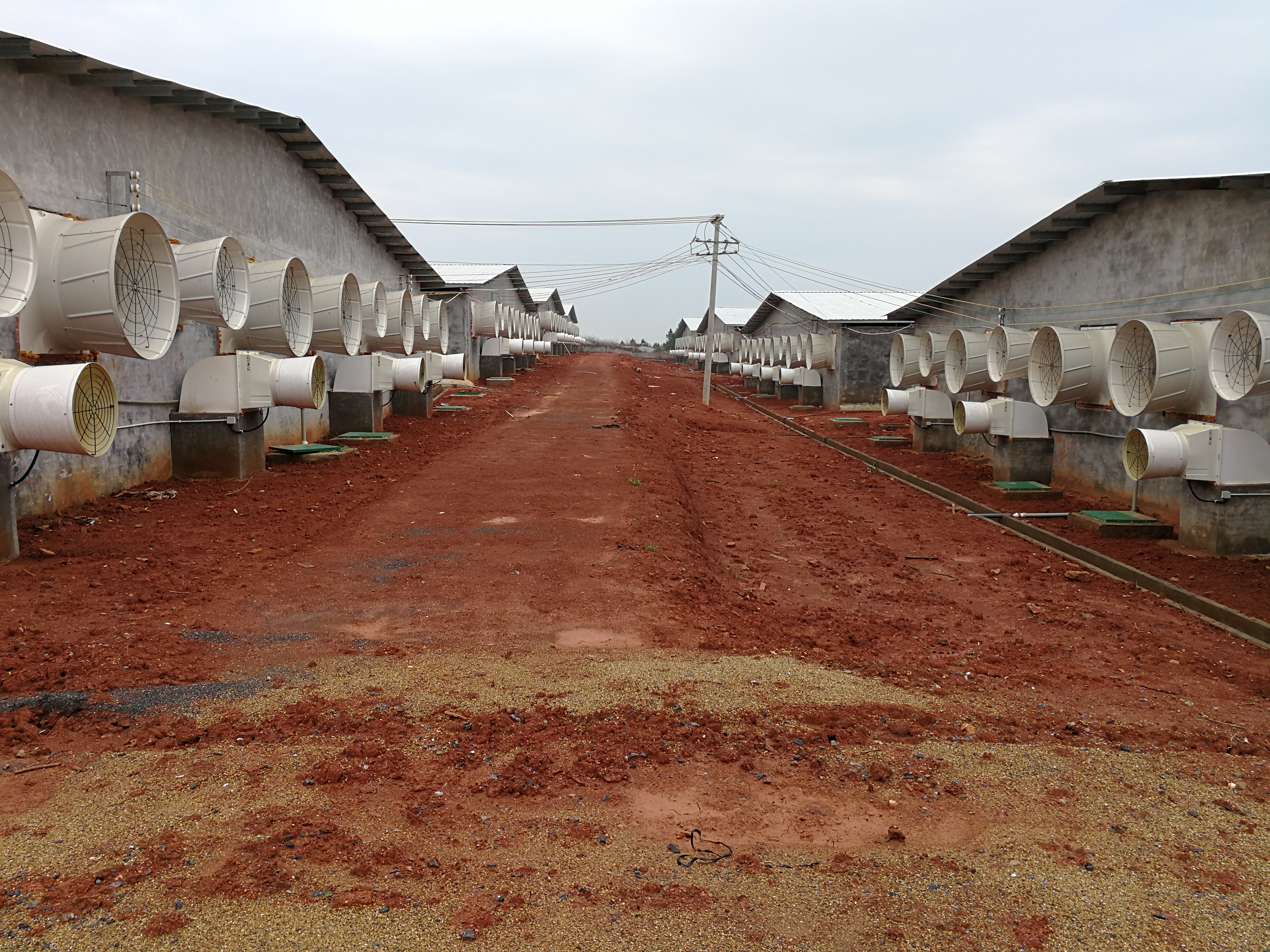 株洲玉柴发电机组